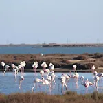 La Tchoupetta, Jaccuzi, Jardin, Canalplus, Netflix Διαμέρισμα Peyriac-de-Mer