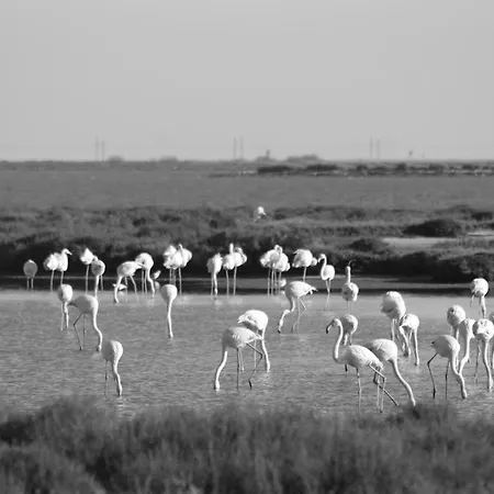 Appartamento La Tchoupetta Peyriac-de-Mer