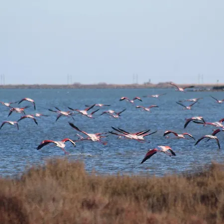 La Tchoupetta * Peyriac-de-Mer