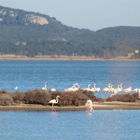 Appartamento La Tchoupetta