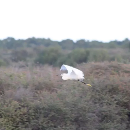 Apartman La Tchoupetta