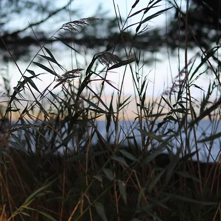 דירה La Tchoupetta