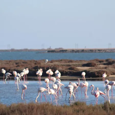 La Tchoupetta,proche Narbonne Jaccuzi, Jardin, Canalplus, Netflix Διαμέρισμα Peyriac-de-Mer