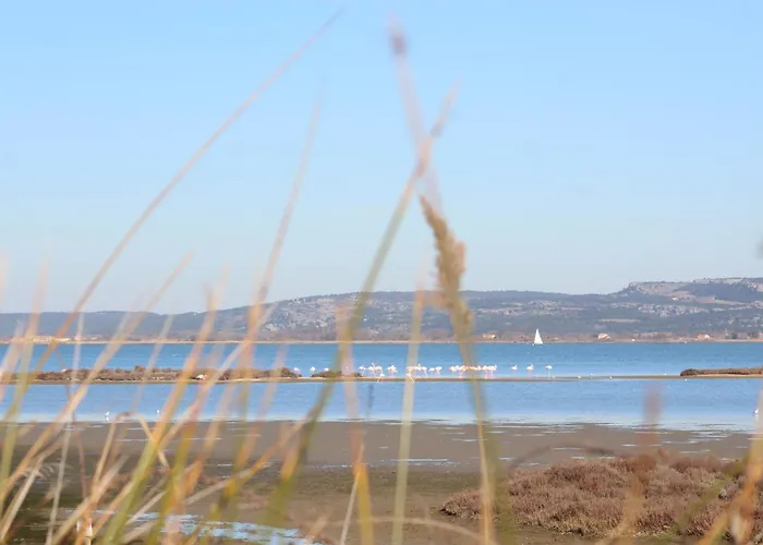 דירה La Tchoupetta *