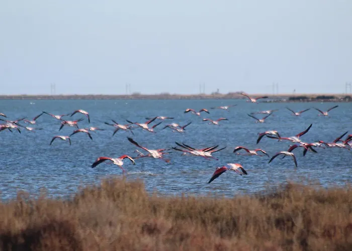 La Tchoupetta * פריאק-דה-מר