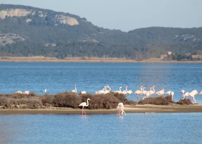 דירה La Tchoupetta