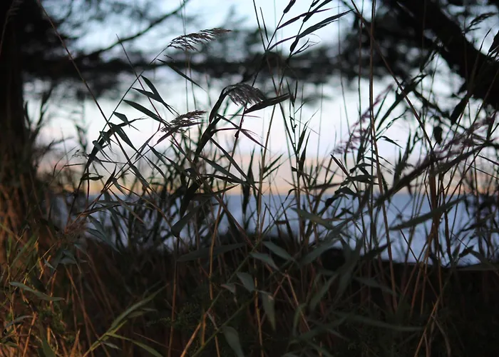 דירה La Tchoupetta