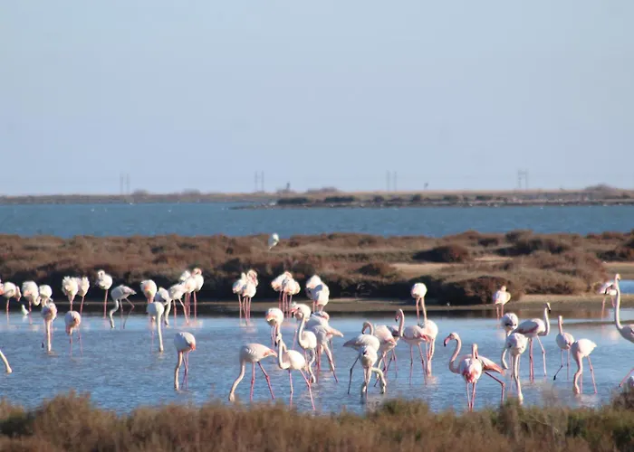 La Tchoupetta, Jaccuzi, Jardin Daire Peyriac-de-Mer
